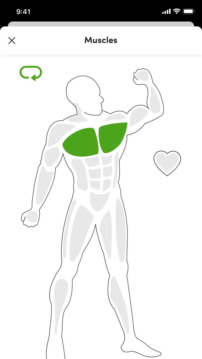 Online Coaching Company