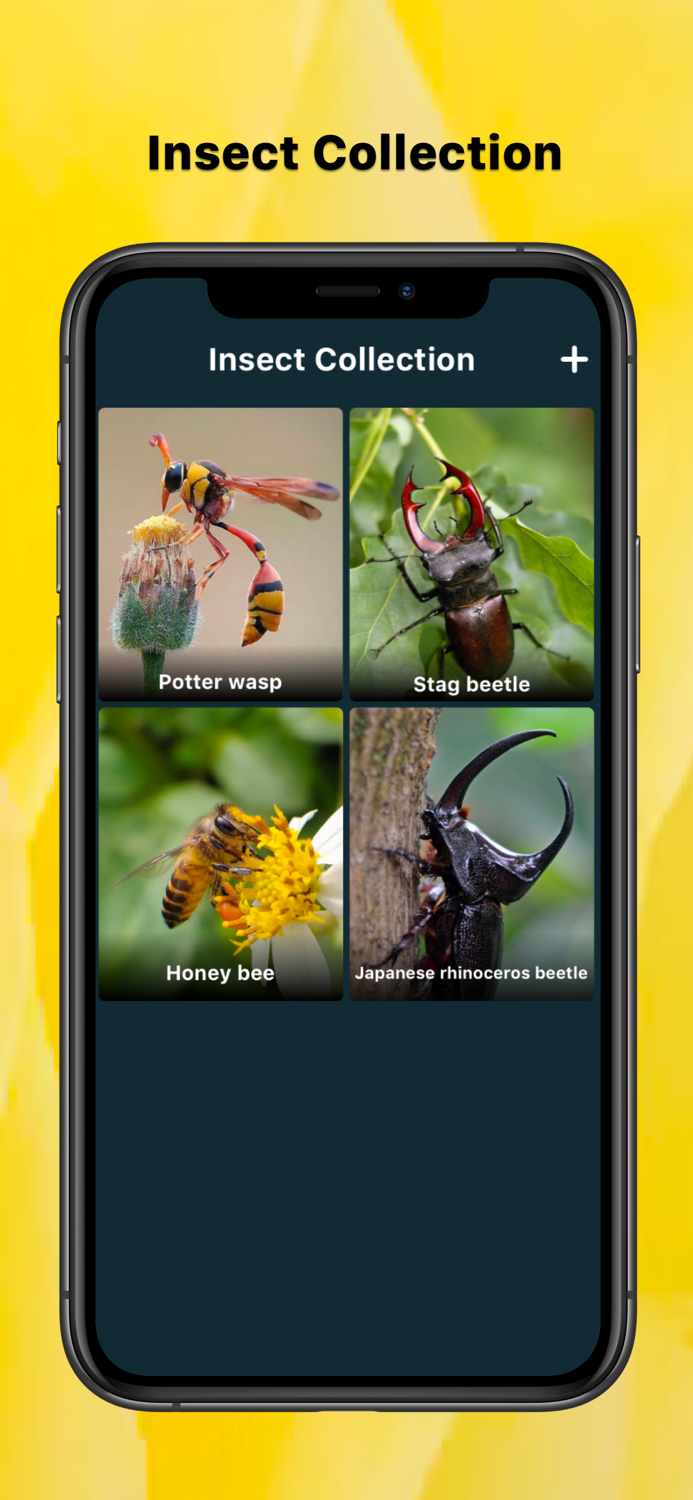 Insect identifier Bug picture