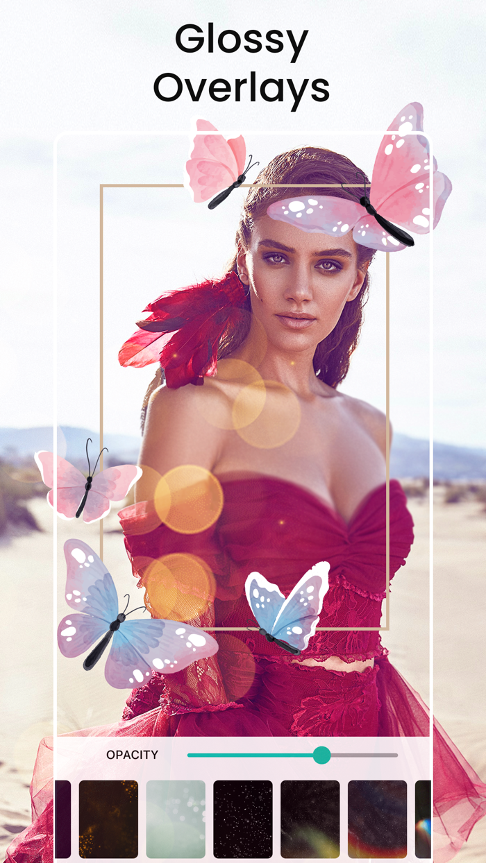 Butterfly Photo Frame Editor