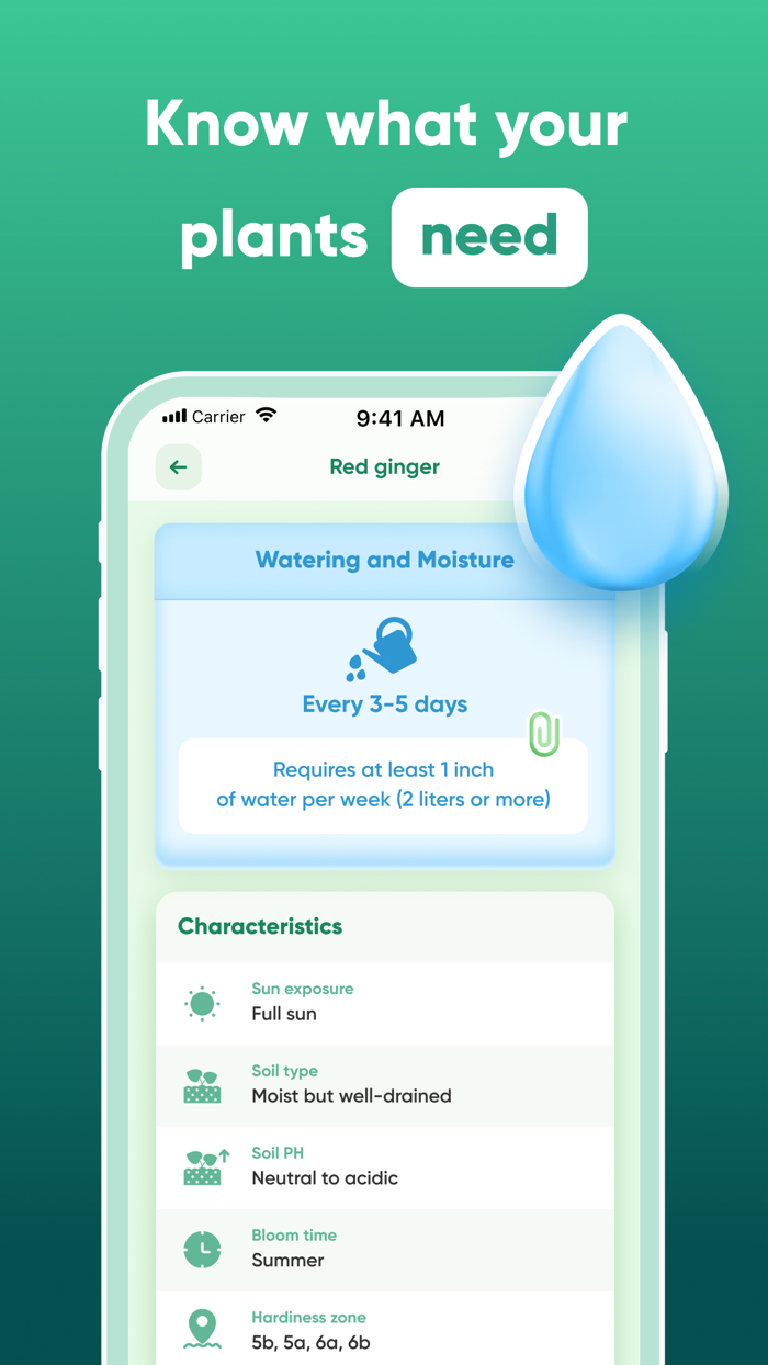Plant, Flower IdentifierCare