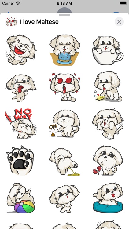 Cutest Maltese Puppy Sticker screenshot-5