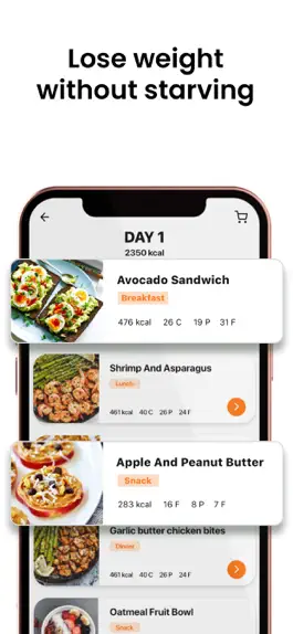 Game screenshot BMI Calculator & Meal Planner apk