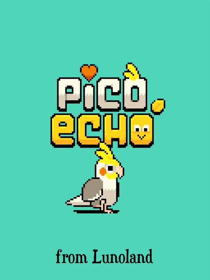 Pico Echo