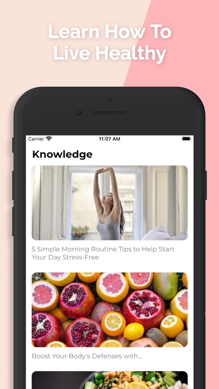 FitWise Diet Tracker