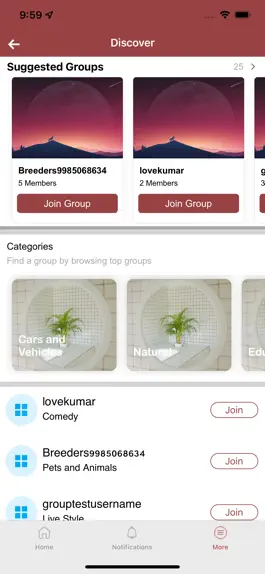 Game screenshot Our Platform hack