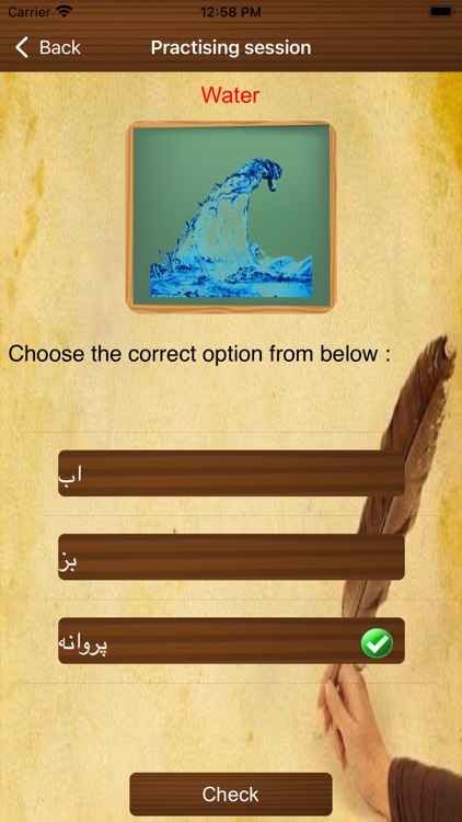 Persian Language screenshot-3