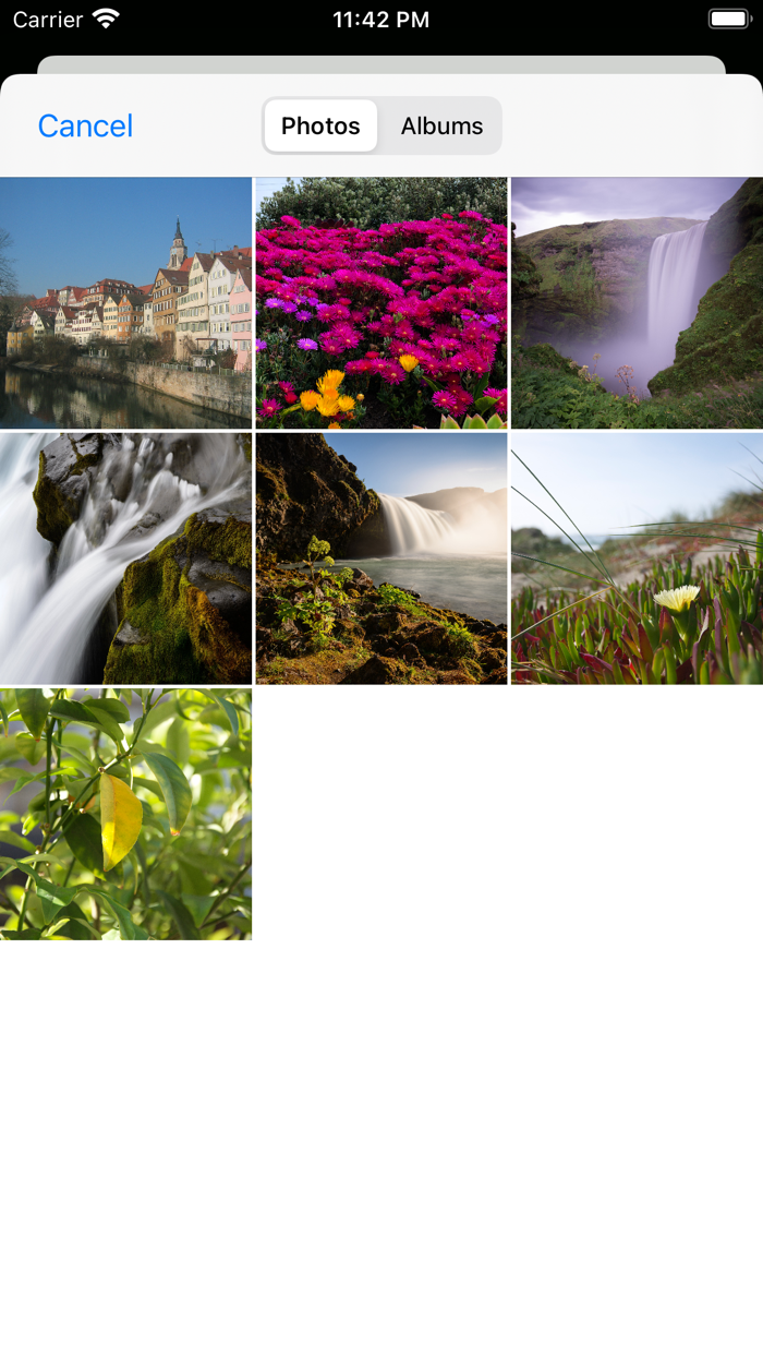 Art Style - styled photo