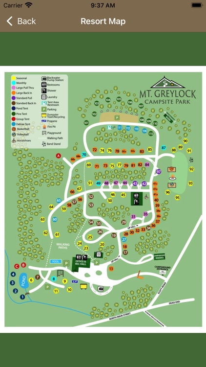 Mt Greylock Campsite Park