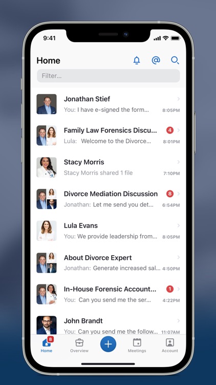 The Divorce Expert screenshot-3