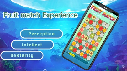 FruitmatchExperience