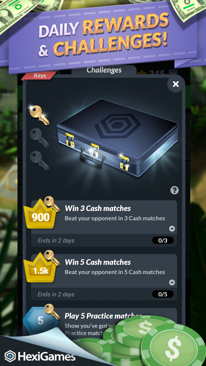 Bingo Adventures Win Big Cash