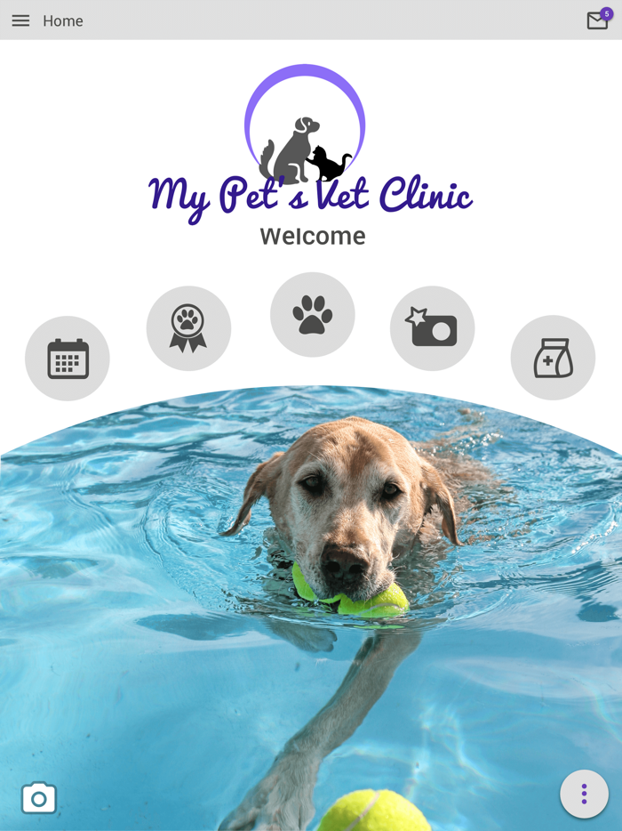 My Pets Vet Clinic Kirkland