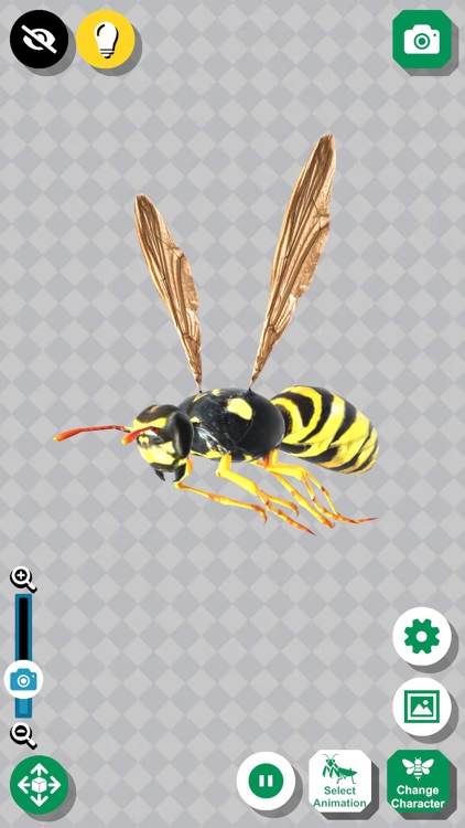 Insect 3D Reference screenshot-0