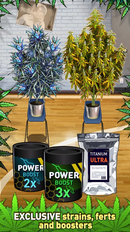 Weed Firm 2: Back To College screenshot-5