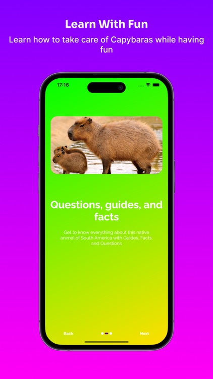 Capybara: Care Guide & Fun