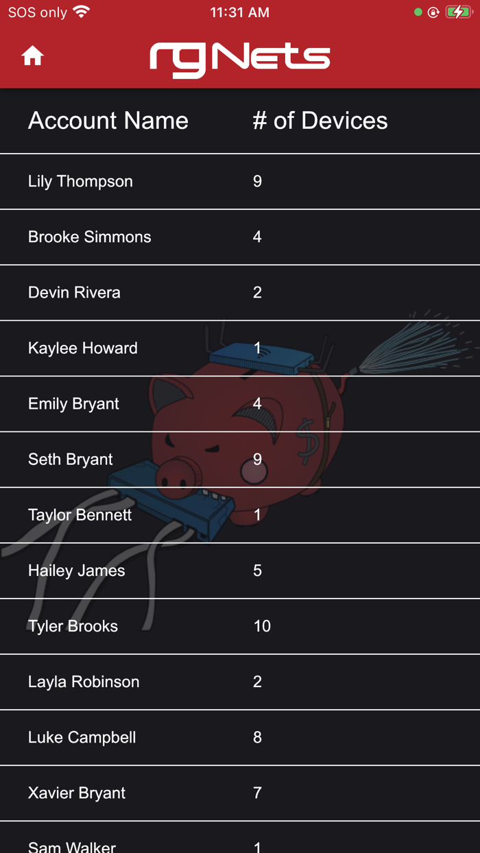 rXg Account Details Editor