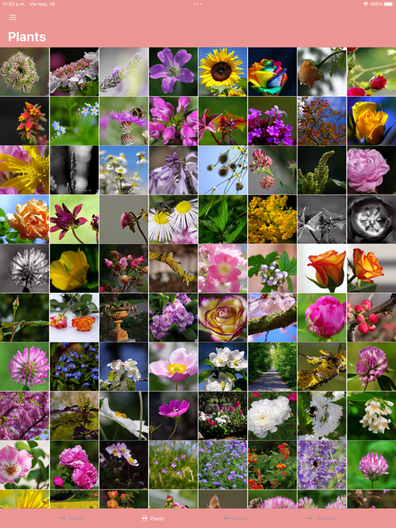 PicFlowers: Flowers Images App screenshot 2