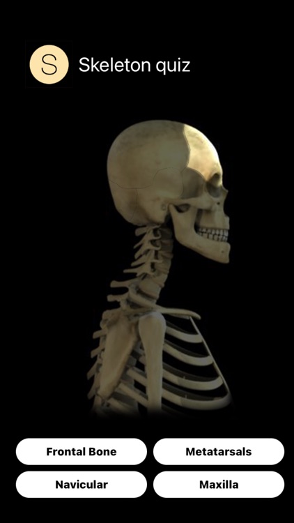 Skeleton Quiz screenshot-6