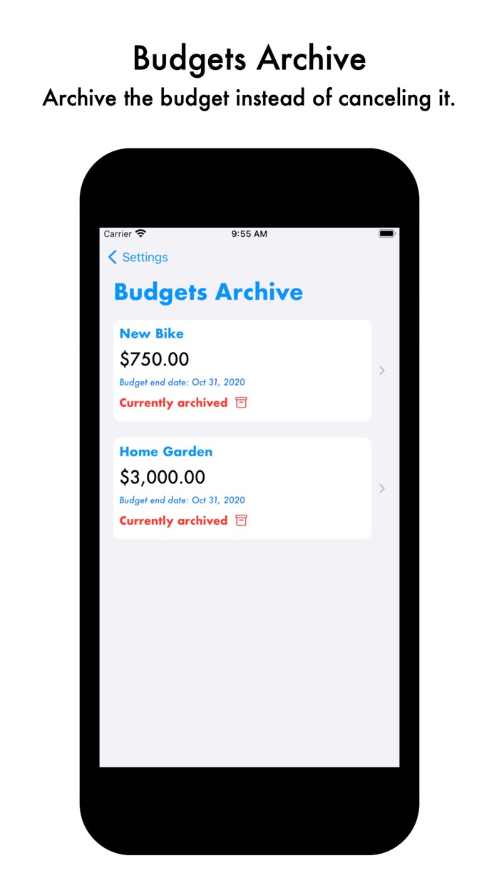 Micro Budget Manager