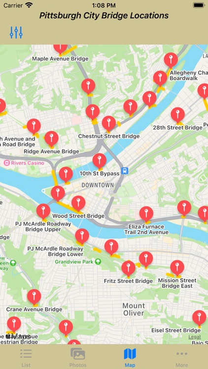 Pittsburgh City Bridges