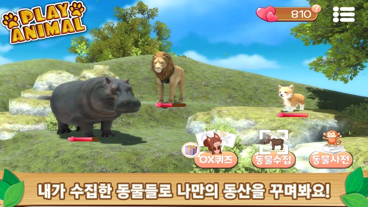 Play Animal