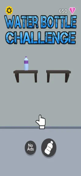 Game screenshot Water Bottle Challenge hack