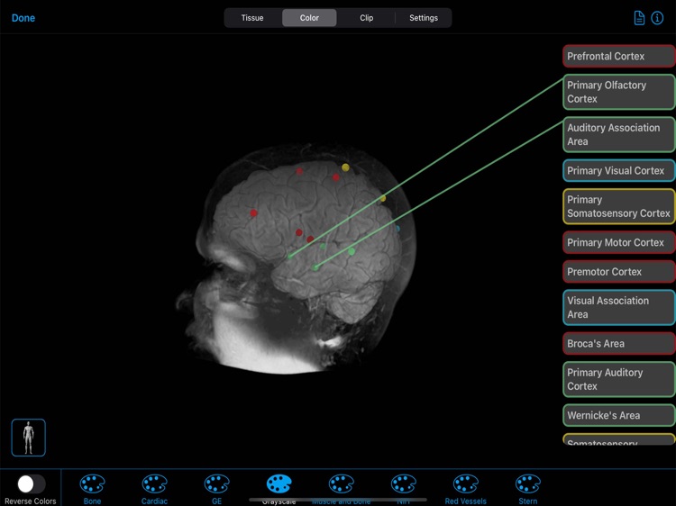 BodyViz