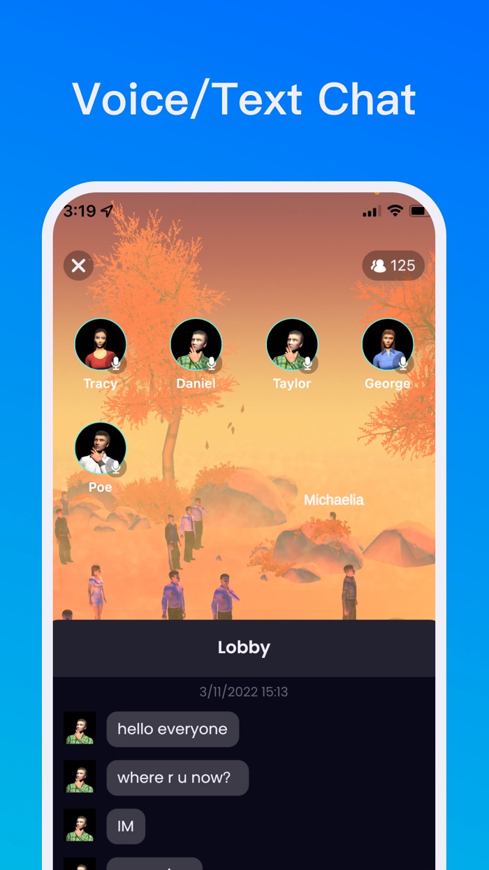 MetaW - Metaverse Voice Chat