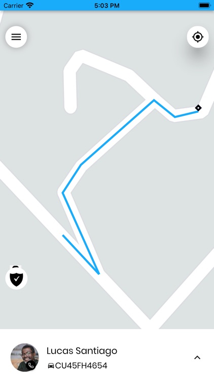 alTaxi Rider screenshot-3