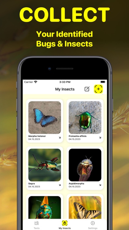 Bug Identifier App - Insect ID