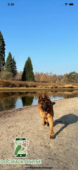 Game screenshot Dogwalk.online mod apk