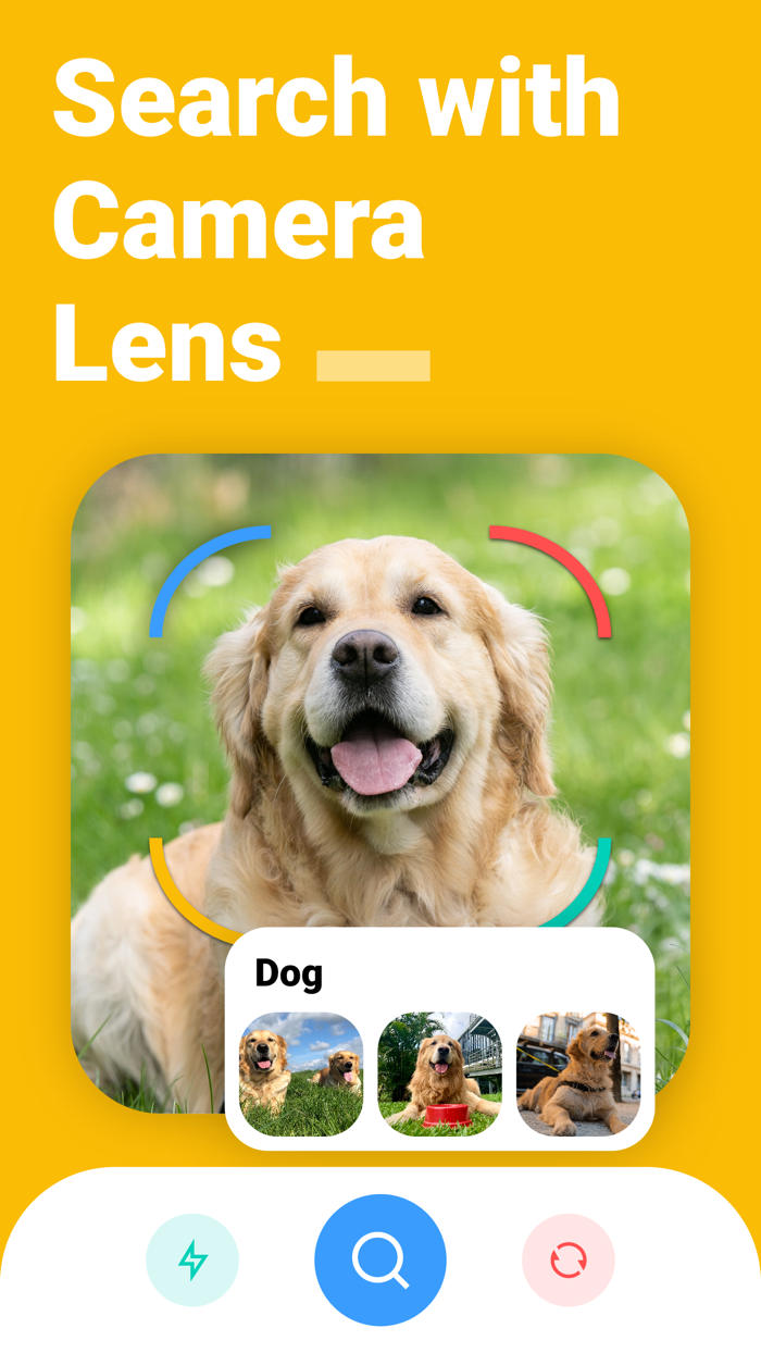 Reverse Image Search Googlr