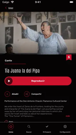 Game screenshot Flamenco Auditorio apk