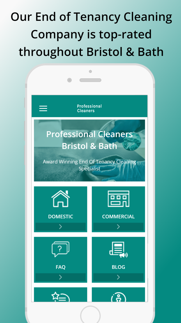 Professional Cleaners