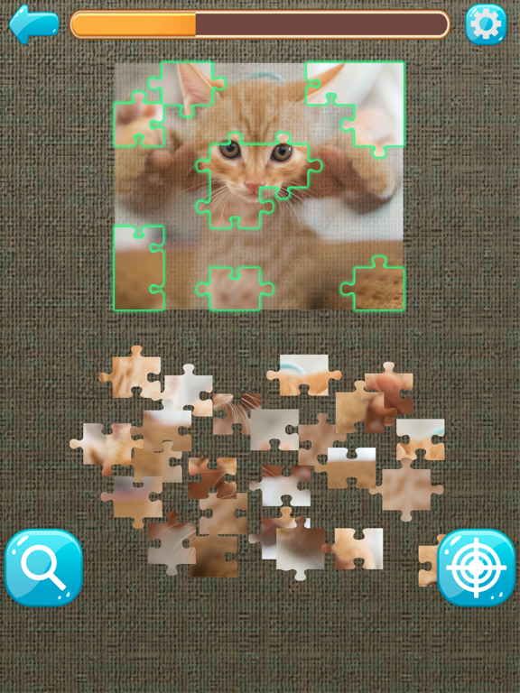 Cat's Gallery screenshot 3