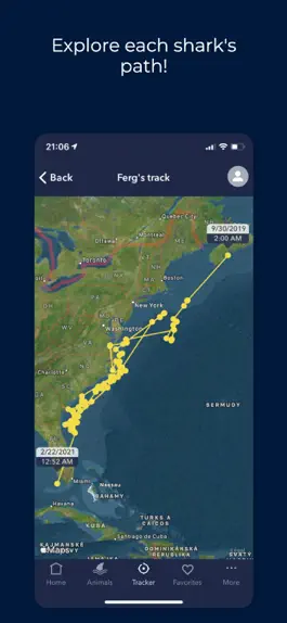 Game screenshot OCEARCH Shark Tracker apk