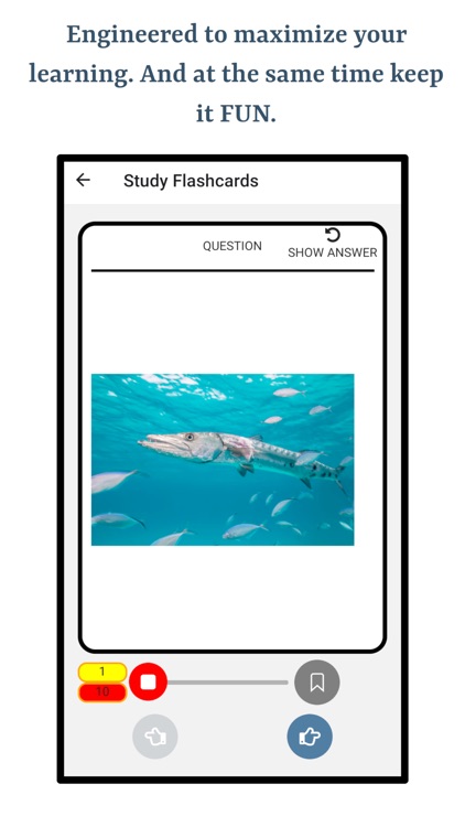 Types of Fish screenshot-3