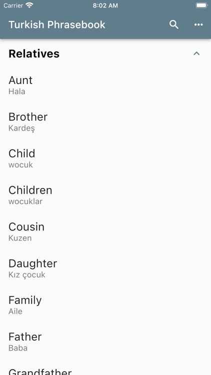 Turkish Basic Phrases screenshot-3