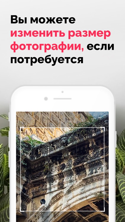 Рэй.Фото - Печать фотографий screenshot-4