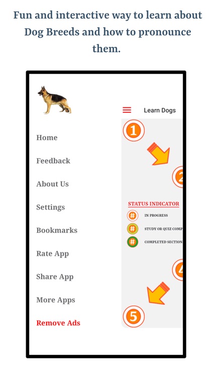 Learn About Dog Breeds screenshot-5