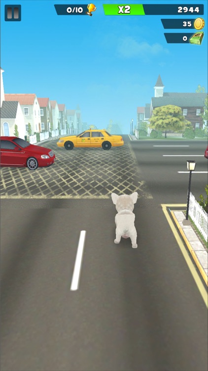 My Puppy Dog: Animal Runner 3D screenshot-7