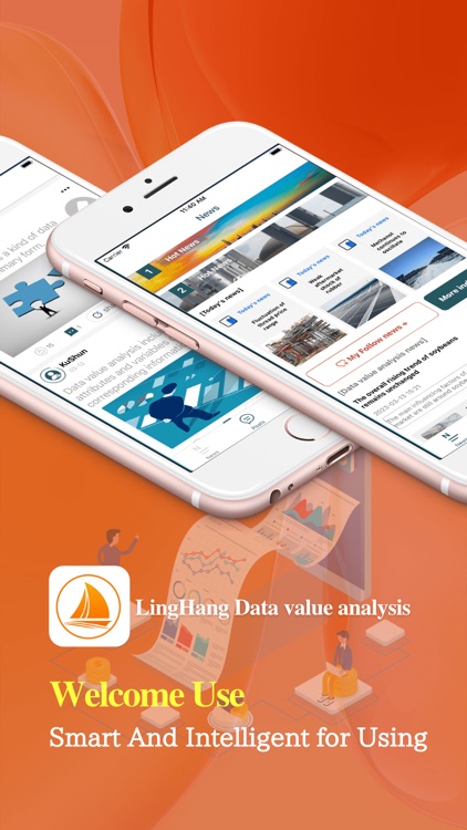 LingHang Data value analysis