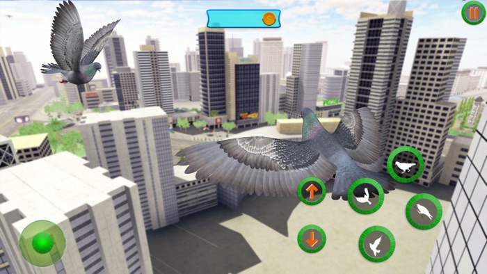 Pigeon Games Flight Simulator