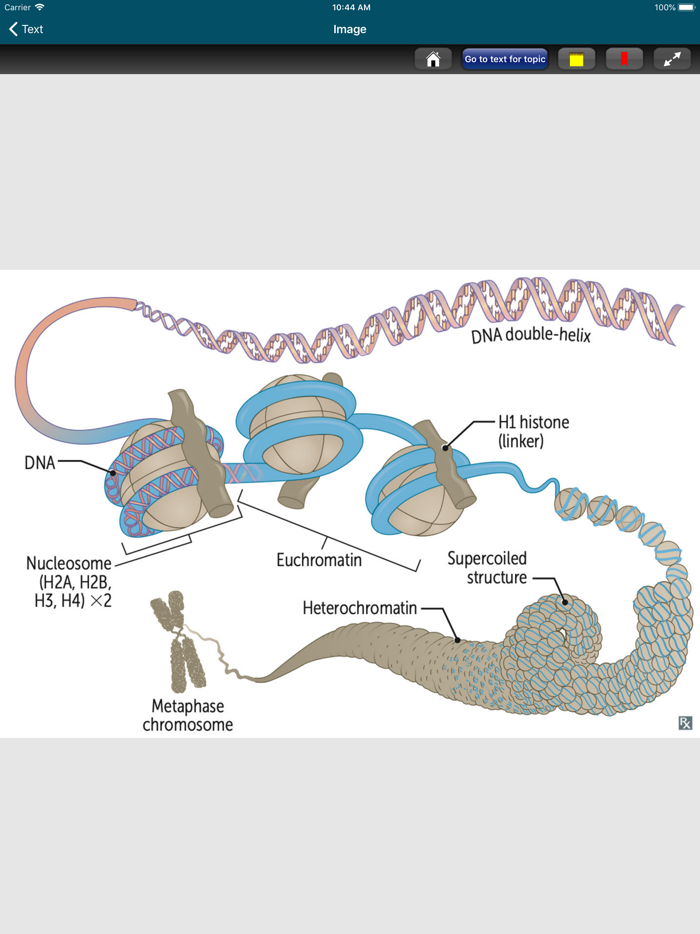 First Aid USMLE Step 1 2022