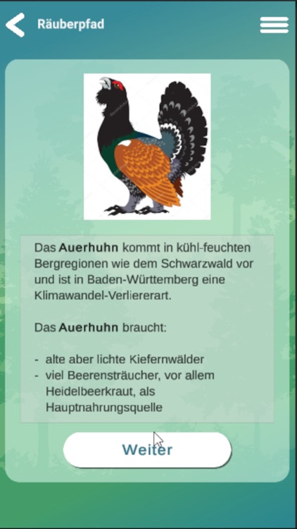 Walderlebnis Enzkreis screenshot-4