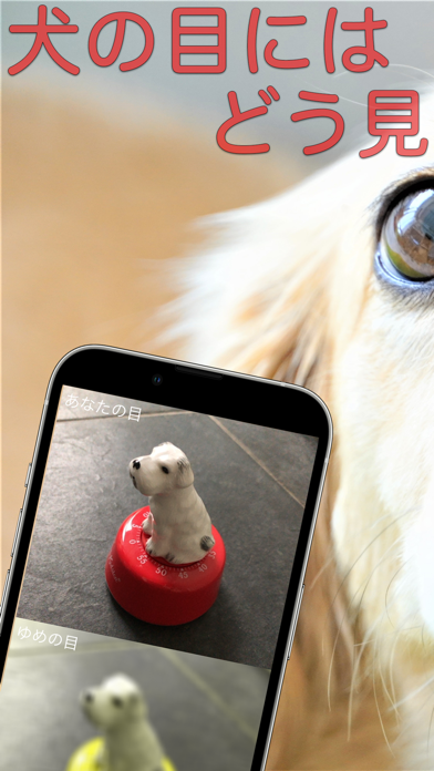 犬の目カメラのアプリ詳細とユーザー評価 レビュー アプリマ