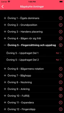 Game screenshot Bågskytte för alla apk