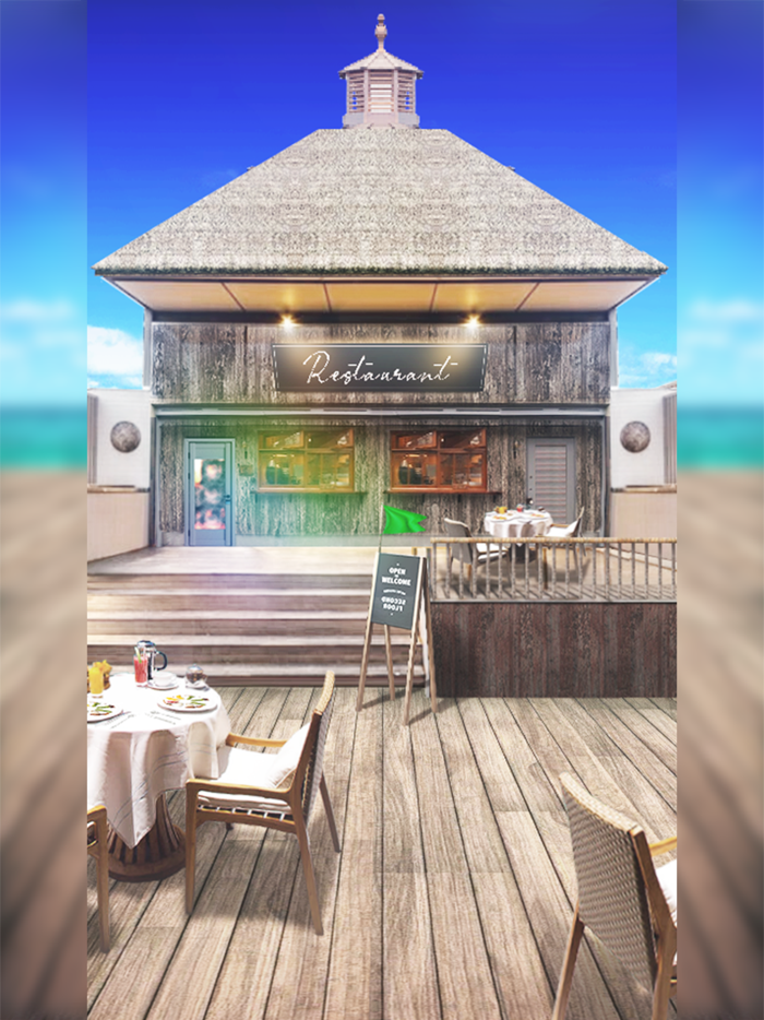 马尔代夫 - 美丽的水上别墅