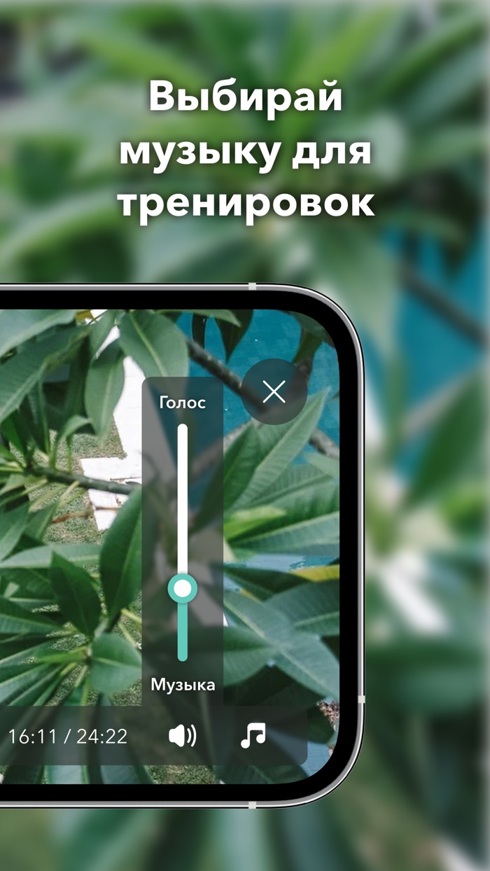 EVO8 йога тренировка дома