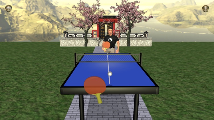 Zen Table Tennis